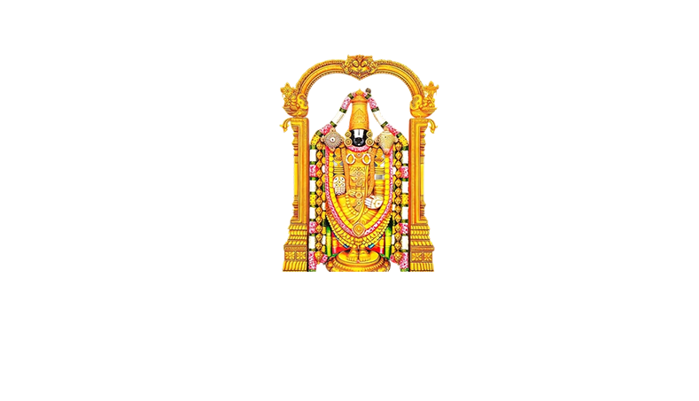Production Partner